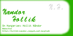 nandor hollik business card