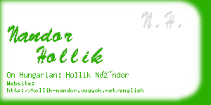 nandor hollik business card